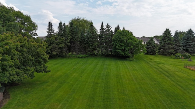 1848 141st Ln NE, Ham Lake, MN 55304 - view of green lawn