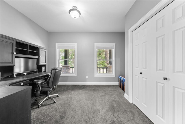 1848 141st Ln NE, Ham Lake, MN 55304 - home office with dark carpet and baseboards