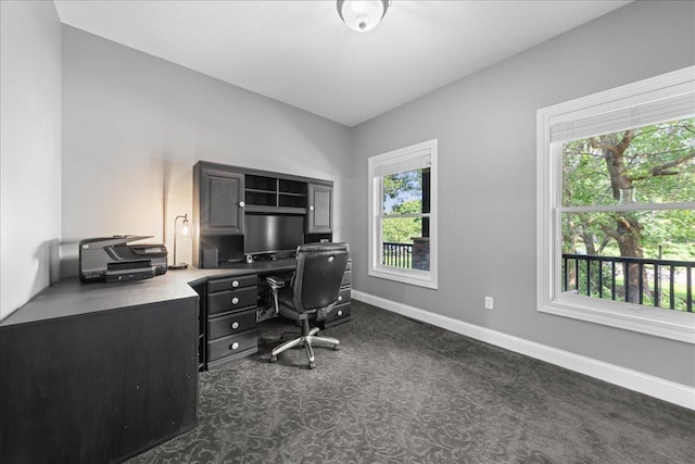 1848 141st Ln NE, Ham Lake, MN 55304 - office with dark carpet and vaulted ceiling