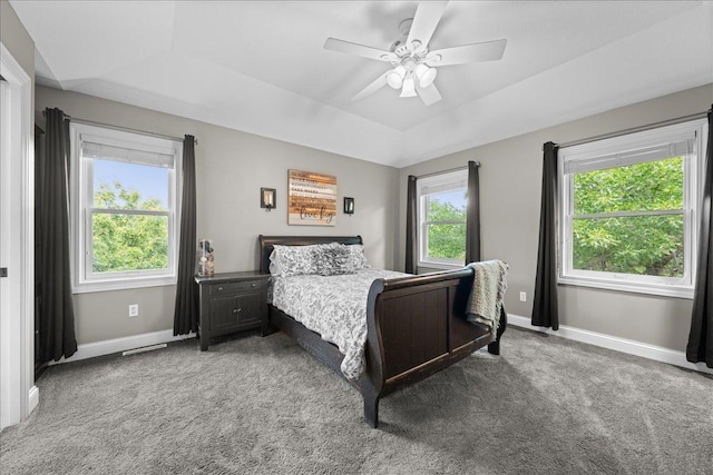 1848 141st Ln NE, Ham Lake, MN 55304 - bedroom featuring a raised ceiling, carpet, and ceiling fan