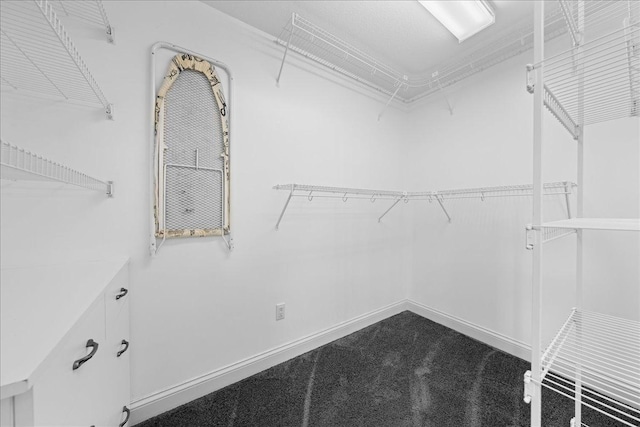 1848 141st Ln NE, Ham Lake, MN 55304 - spacious closet with dark carpet
