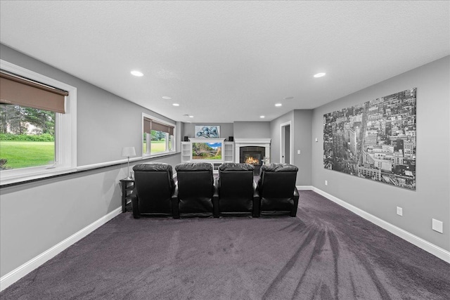 1848 141st Ln NE, Ham Lake, MN 55304 - cinema room featuring a fireplace, recessed lighting, and carpet