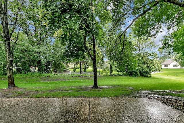 299 Waite Ave S, Saint Cloud, MN 56301 - photo 28