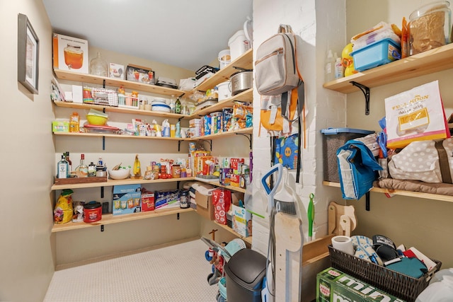 1714 5th St NE, Minneapolis, MN 55413 - view of storage area
