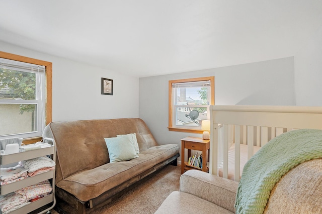 1714 5th St NE, Minneapolis, MN 55413 - living room featuring plenty of natural light and carpet floors