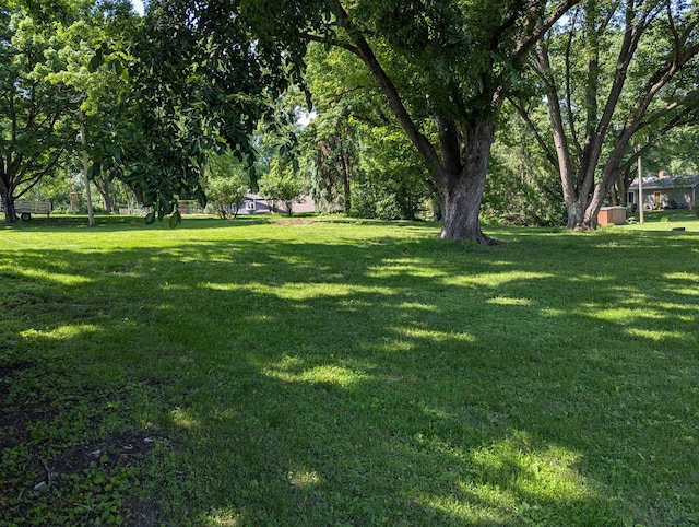 16522 Elm Dr, Minnetonka, MN 55345 - view of grassy yard