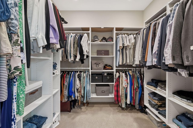 312 Barry Ave N, Wayzata, MN 55391 - spacious closet featuring carpet floors
