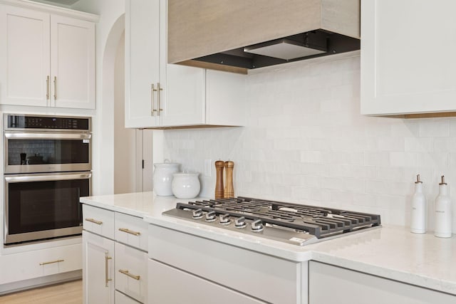 10172 Peony Ln N, Maple Grove, MN 55311 - kitchen featuring stainless steel appliances, custom exhaust hood, white cabinets, and tasteful backsplash