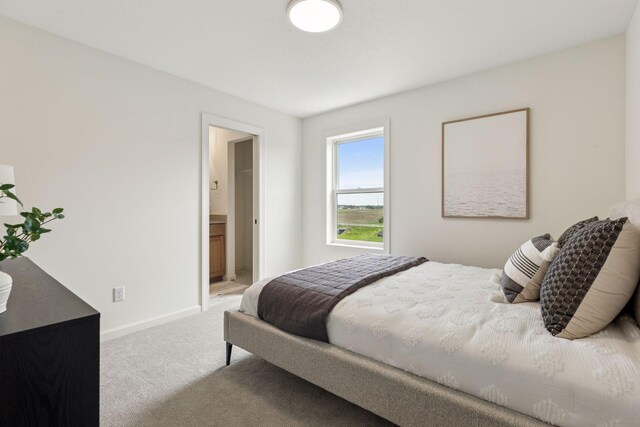 10172 Peony Ln N, Maple Grove, MN 55311 - bedroom featuring carpet flooring, baseboards, and ensuite bathroom
