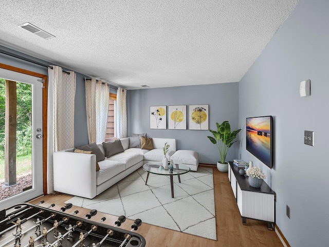 1626 Raindrop Dr, Eagan, MN 55121 - living room with a textured ceiling and light wood-style floors