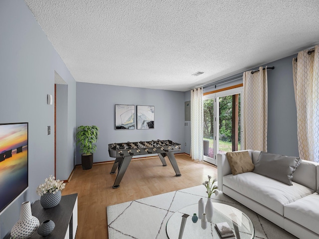 1626 Raindrop Dr, Eagan, MN 55121 - living room with light wood finished floors and a textured ceiling