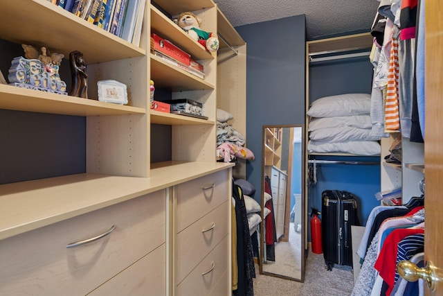 20886 Jenkins Way, Lakeville, MN 55044 - spacious closet with carpet floors