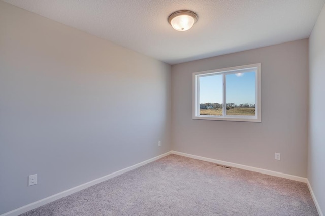 19892 English Ave N, Forest Lake, MN 55025 - empty room with carpet floors, baseboards, and a textured ceiling
