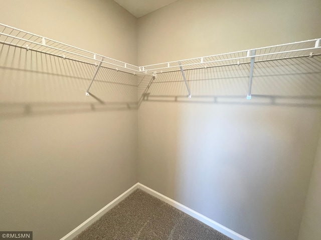19892 English Ave N, Forest Lake, MN 55025 - photo 19