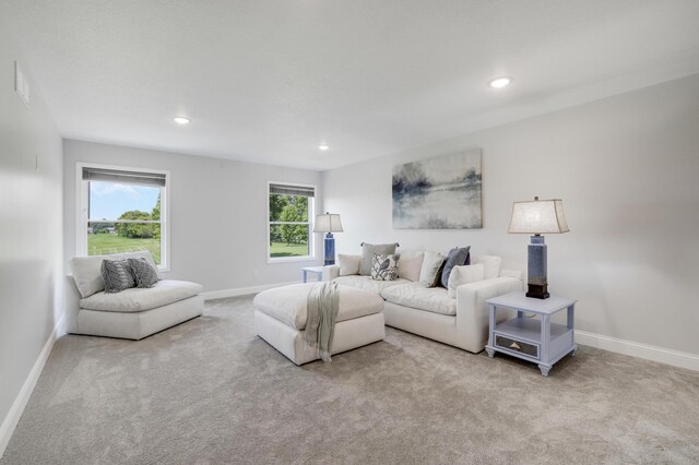 9867 Kahler Ave NE, Monticello, MN 55362 - living area featuring carpet flooring, plenty of natural light, recessed lighting, and baseboards