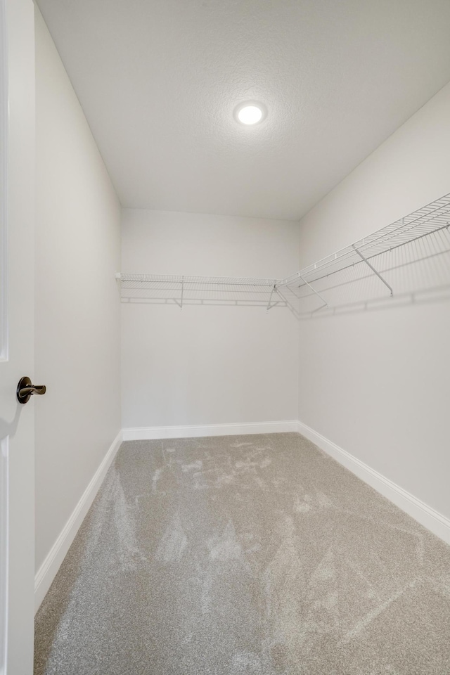 9867 Kahler Ave NE, Monticello, MN 55362 - spacious closet with carpet floors