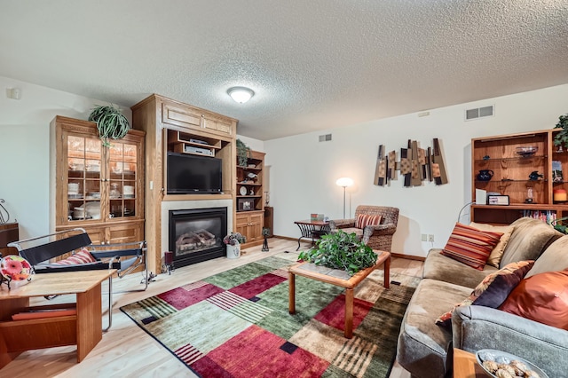 11760 88th Pl N, Maple Grove, MN 55369 - living area with a fireplace, light wood finished floors, and a textured ceiling