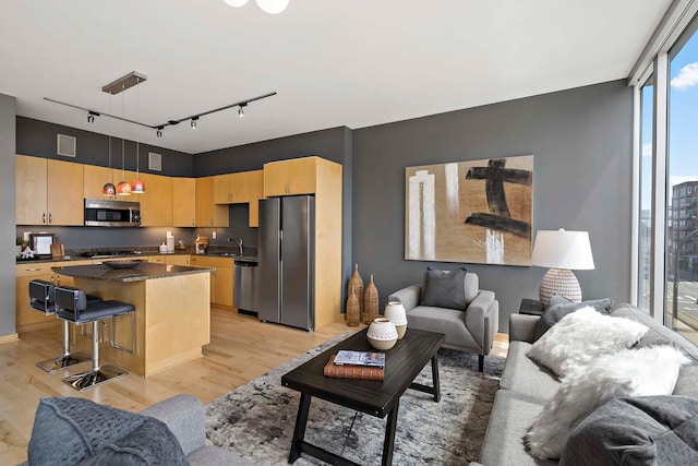 215 10th Ave S Unit 425, Minneapolis, MN 55415 - living room with track lighting and light wood-style floors