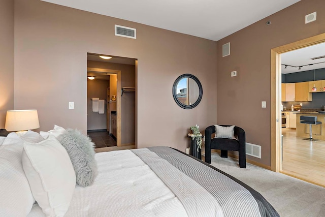 215 10th Ave S Unit 425, Minneapolis, MN 55415 - bedroom featuring a spacious closet and carpet floors