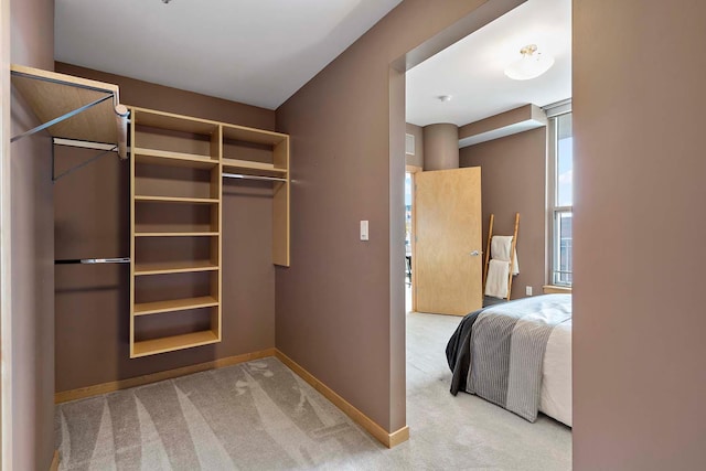 215 10th Ave S Unit 425, Minneapolis, MN 55415 - spacious closet featuring carpet flooring