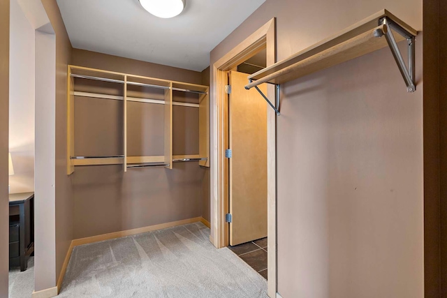 215 10th Ave S Unit 425, Minneapolis, MN 55415 - walk in closet with carpet