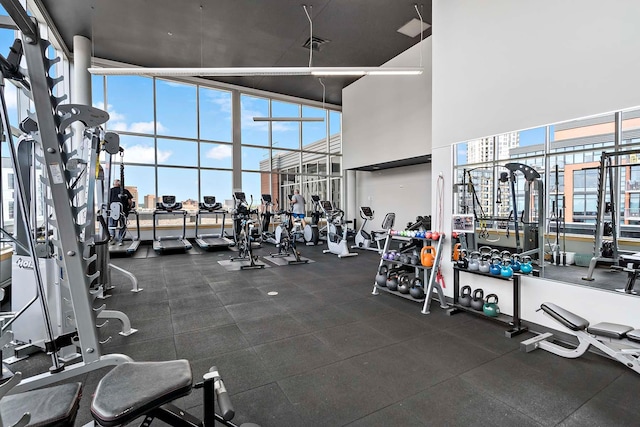 215 10th Ave S Unit 425, Minneapolis, MN 55415 - gym with a high ceiling and a wall of windows