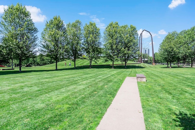 215 10th Ave S Unit 425, Minneapolis, MN 55415 - view of green lawn