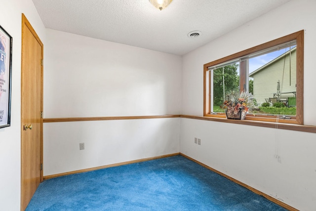 1201 Maplewood Dr, Delano, MN 55328 - carpeted empty room with baseboards and a textured ceiling