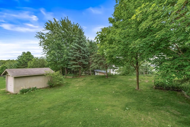 1201 Maplewood Dr, Delano, MN 55328 - view of green lawn with an outbuilding