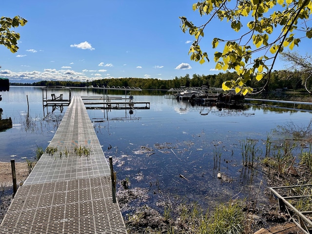 TBD Ja Bird Loop NE, Longville, MN 56655