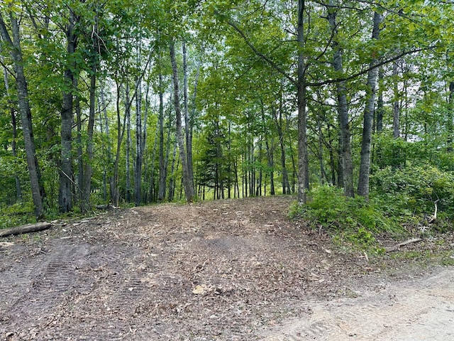 TBD Ja Bird Loop NE, Longville, MN 56655