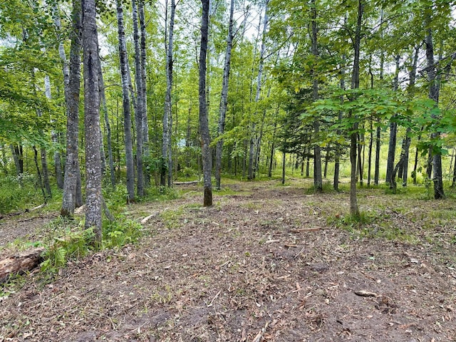 TBD Ja Bird Loop NE, Longville, MN 56655