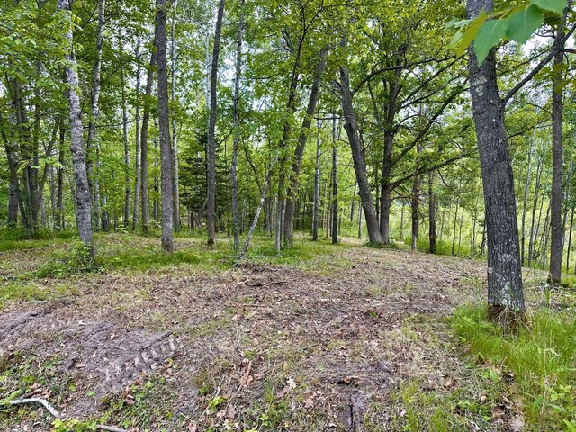 TBD Ja Bird Loop NE, Longville, MN 56655