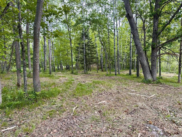 TBD Ja Bird Loop NE, Longville, MN 56655