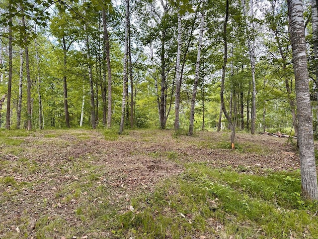 TBD Ja Bird Loop NE, Longville, MN 56655