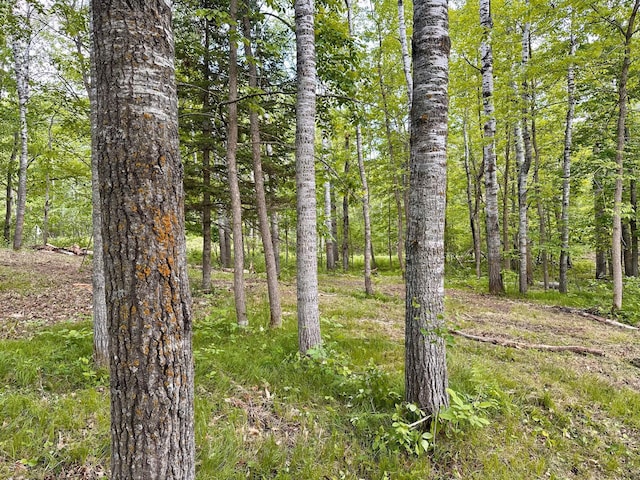 TBD Ja Bird Loop NE, Longville, MN 56655