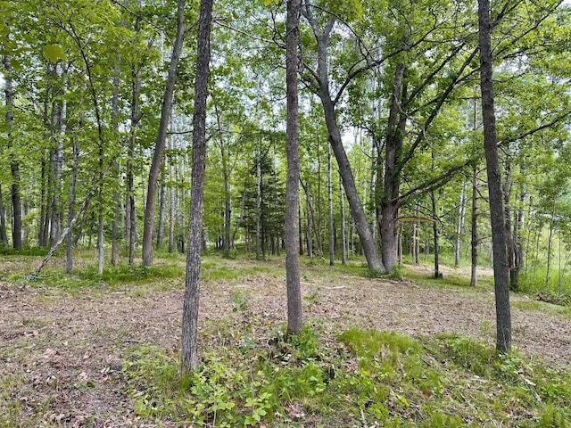 TBD Ja Bird Loop NE, Longville, MN 56655