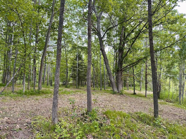 TBD Ja Bird Loop NE, Longville, MN 56655