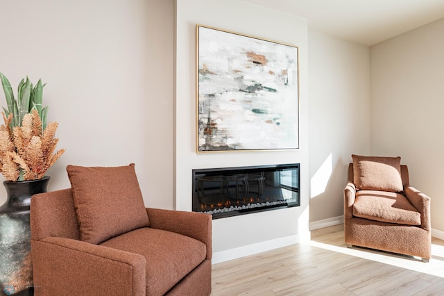 1600 5th Ave NE, Dilworth, MN 56529 - living area featuring wood finished floors, a glass covered fireplace, and baseboards