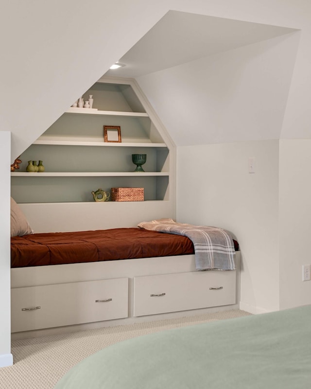 4313 Arthur St NE, Columbia Heights, MN 55421 - bedroom featuring lofted ceiling