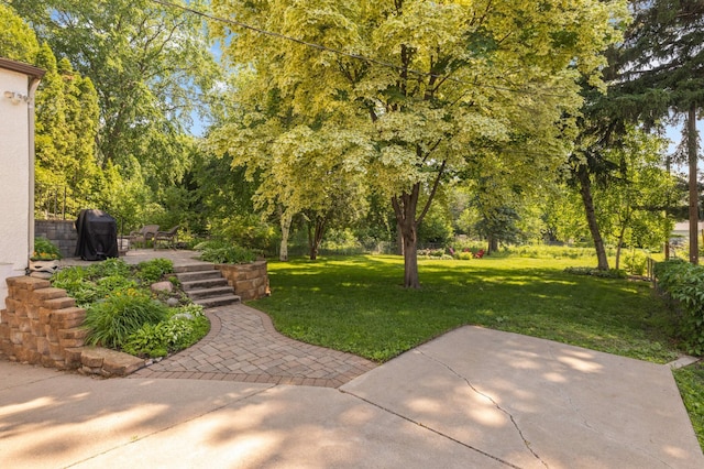4313 Arthur St NE, Columbia Heights, MN 55421 - view of grassy yard featuring a patio