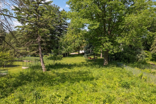 4313 Arthur St NE, Columbia Heights, MN 55421 - view of yard