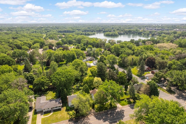 4313 Arthur St NE, Columbia Heights, MN 55421 - aerial view of a large body of water and a forest