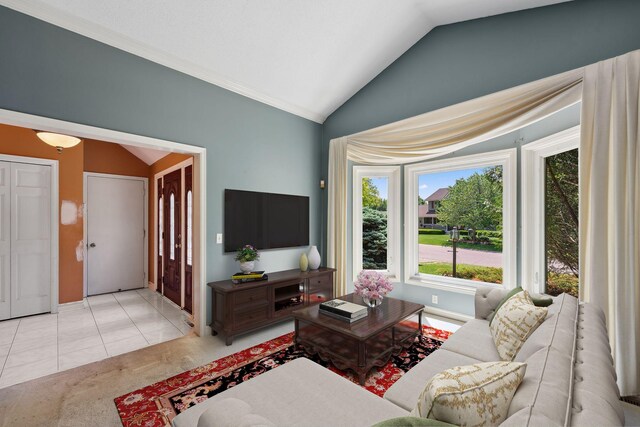 13914 Duluth Dr, Apple Valley, MN 55124 - tiled living room with lofted ceiling, crown molding, and baseboards