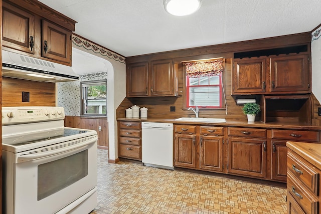 1206 2nd St W, Hastings, MN 55033 - kitchen featuring white appliances, range hood, a sink, wooden walls, and healthy amount of natural light