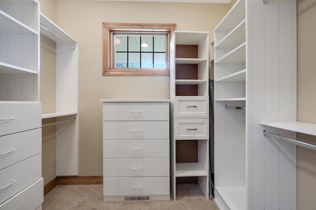 904 Ridgecrest Dr, Carver, MN 55315 - spacious closet with light colored carpet