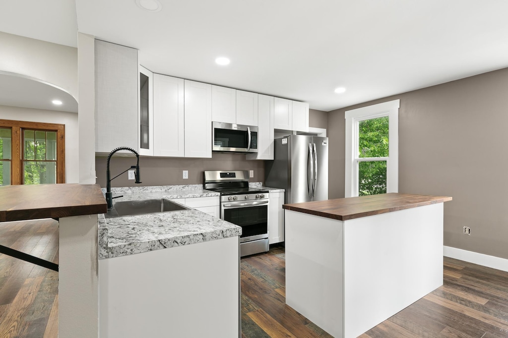 509 1st St SE, Little Falls, MN 56345 - kitchen featuring stainless steel appliances, a sink, butcher block countertops, healthy amount of natural light, and recessed lighting