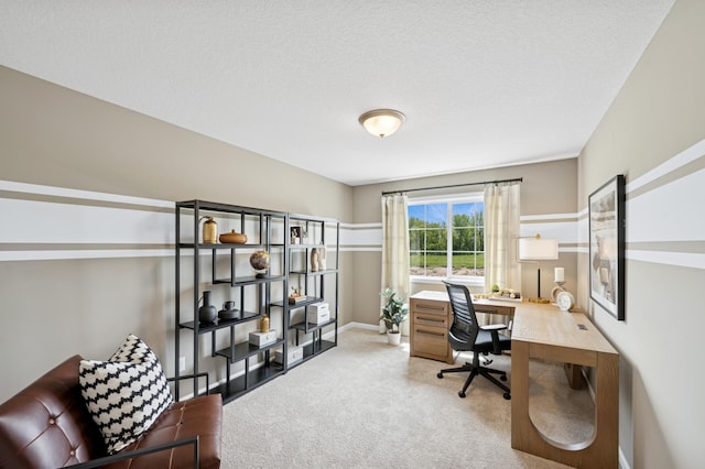 2008 Apple Ln, Montrose, MN 55363 - photo 14