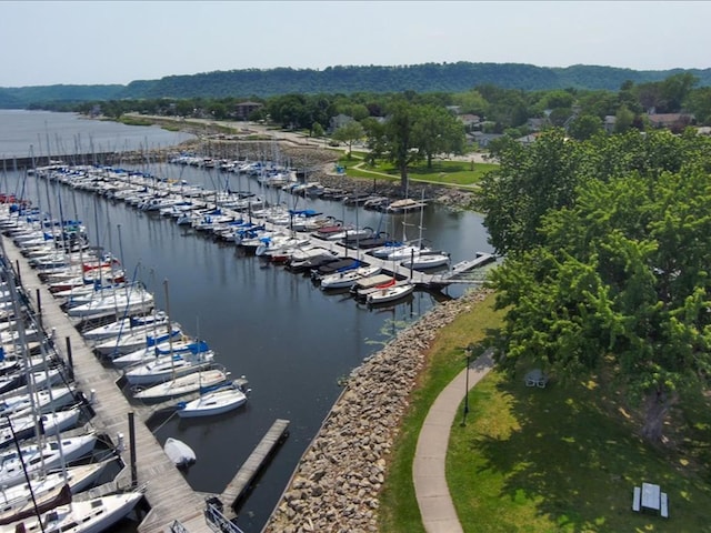 311 Franklin St, Lake City, MN 55041 - water view featuring a marina