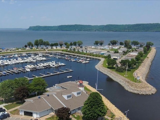311 Franklin St, Lake City, MN 55041 - aerial view of a large body of water and numerous boat docks
